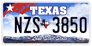 NZS3850 license plate in Texas