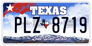 PLZ8719 license plate in Texas