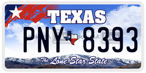 PNY8393 license plate in Texas