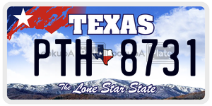 PTH8731  license plate in TX