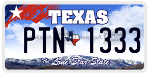 PTN1333 license plate in Texas