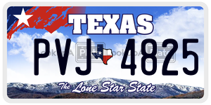 PVJ4825  license plate in TX