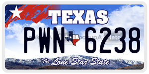 PWN6238  license plate in TX