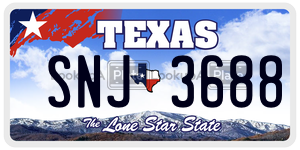 SNJ3688  license plate in TX