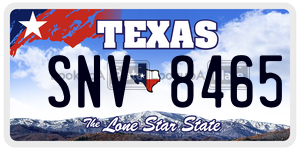 SNV8465 license plate in Texas