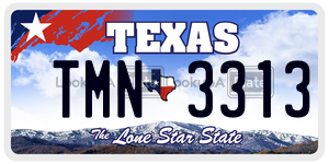 TMN3313 license plate in Texas