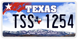 TSS1254 license plate in Texas