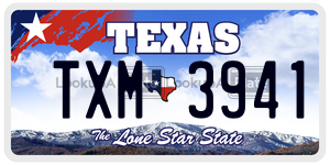 TXM3941 license plate in Texas