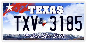 TXV3185 license plate in Texas