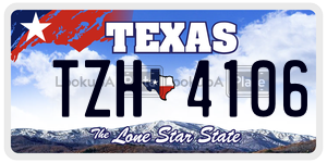 TZH4106  license plate in TX