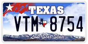 VTM8754 license plate in Texas