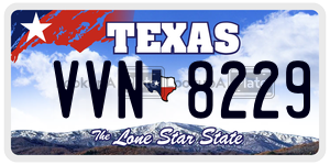 VVN8229 license plate in Texas