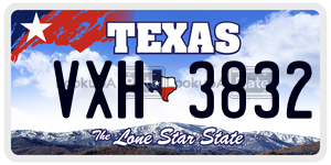 VXH3832  license plate in TX