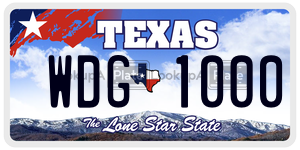 WDG1000 license plate in Texas