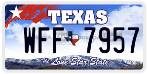 WFF7957  license plate in TX