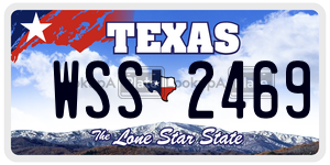 WSS2469  license plate in TX