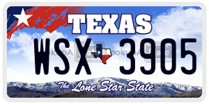 WSX3905 license plate in Texas