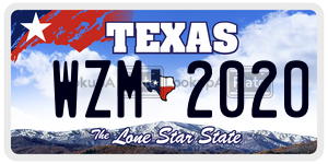 WZM2020  license plate in TX
