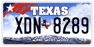 XDN8289  license plate in TX