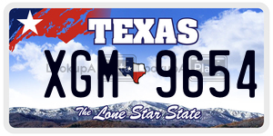 XGM9654  license plate in TX