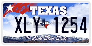 XLY1254  license plate in TX
