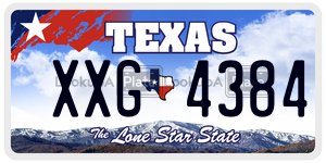 XXG4384  license plate in TX