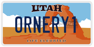 0RNERY1  license plate in UT