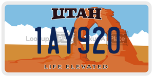 1AY920  license plate in UT