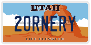 20RNERY  license plate in UT