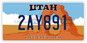 2AY891 license plate in Utah