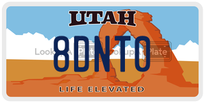 8DNT0  license plate in UT