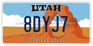 8DYJ7  license plate in UT