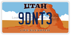 9DNT3 license plate in Utah