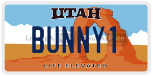 BUNNY1  license plate in UT