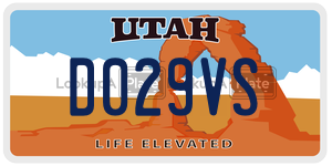 D029VS  license plate in UT