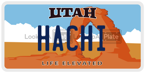 HACHI  license plate in UT