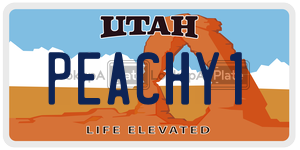 PEACHY1  license plate in UT