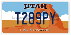 T289PY license plate in Utah
