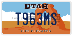 T963MS  license plate in UT