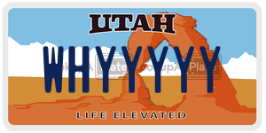 WHYYYYY  license plate in UT