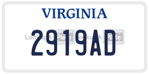 2919AD license plate in Virginia