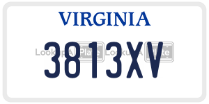 3813XV  license plate in VA