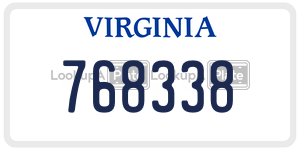 768338 license plate in Virginia