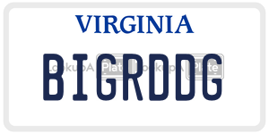 BIGRDDG  license plate in VA