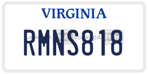 RMNS818 license plate in Virginia