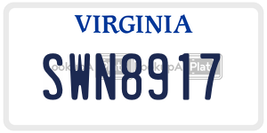 SWN8917  license plate in VA