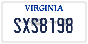 SXS8198  license plate in VA