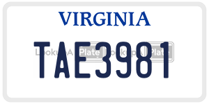 TAE3981  license plate in VA