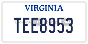 TEE8953  license plate in VA