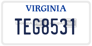 TEG8531  license plate in VA